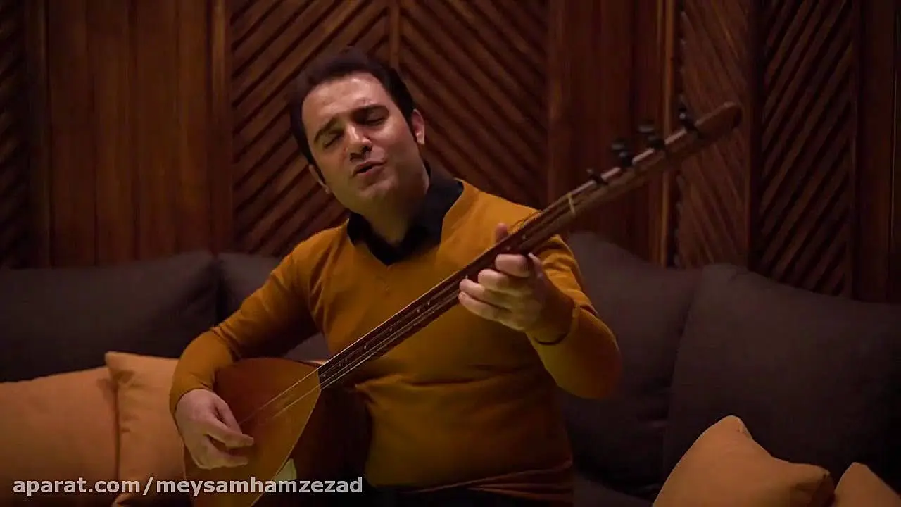 میثم حمزه زاد